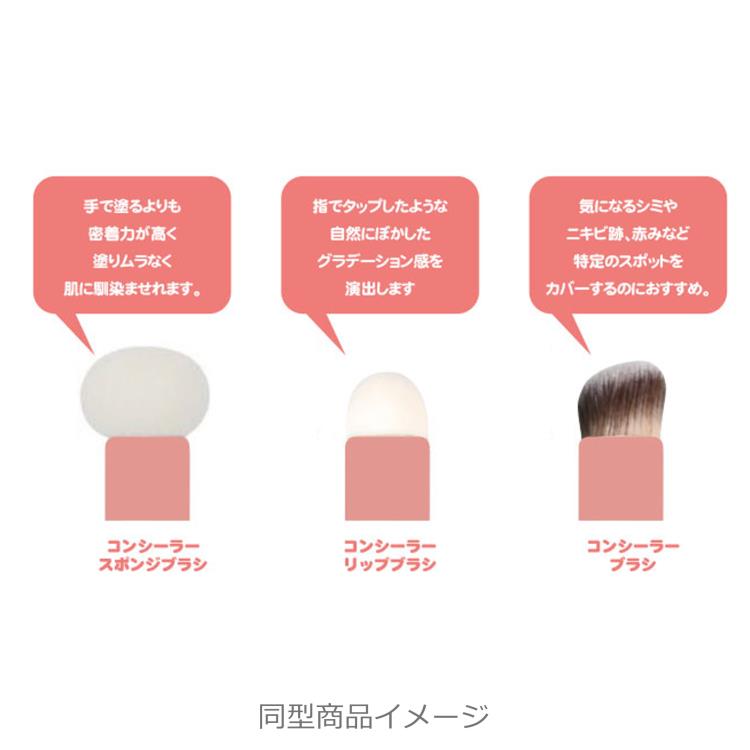 ���ʥ������ ���󥷡��顼�֥饷3�糧�å� 435977 CINNAMOROLL ����ꥪ