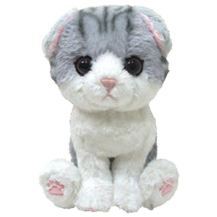 樂天商城 - キトン ぬいぐるみ スコティッシュフォールド GY 044214 Kitten サンレモン