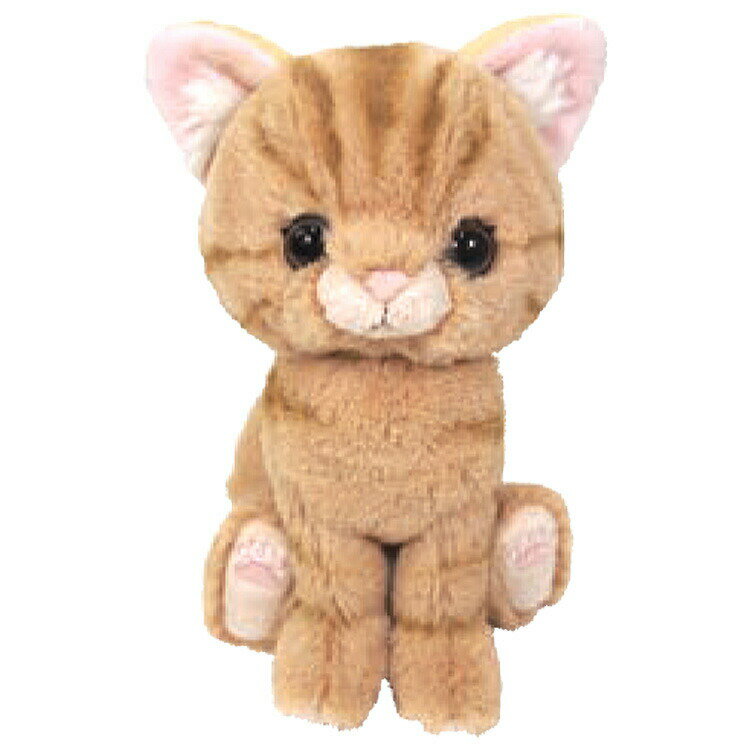 乐天商城 - キトン ぬいぐるみ アメリカンショートヘア BR 037537 Kitten サンレモン