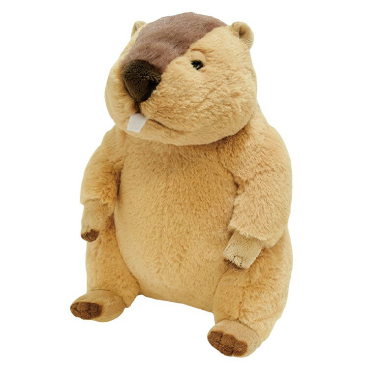 Rakuten - フラフィーズ ぬいぐるみM マーモット 051908