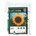 ジャポニカ学習帳 巾着(A)★文具2★