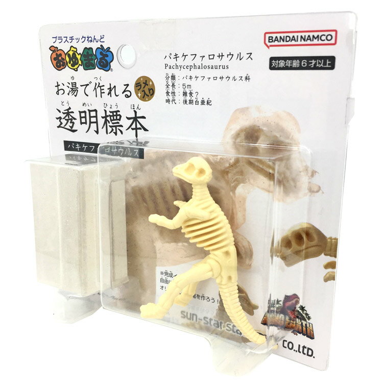 ディノ・アース おゆまる お湯で作れる透明標本 パキケファロサウルス 恐竜 お湯 やわらかく 冷やすと固まる プラスチックねんど ラメ入り 316078 2