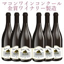 【送料無料】【自社農園France Chinon Domaine de l 039 Abbayeより直輸入の赤ワイン】フランス シノン産ワイン ドメーヌ ド ラベイ 赤 2015年産 750ml × 6瓶