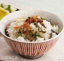 山菜おこわ 【出雲のおもてなし 山菜おこわ ×10箱セット】 山菜ご飯 お茶碗3膳分 炊飯器で約25分 アルファ米 時短 調理 簡単調理 美味しい 母の日 米寿...