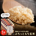 【ぷちっともち玄米 900g×5袋】 もち玄米 玄米 無洗米 もち米 ごはん モチモチ 国産 玄米ご飯 長期保存 健康 もちもち 簡単 洗わない そのまま炊ける...