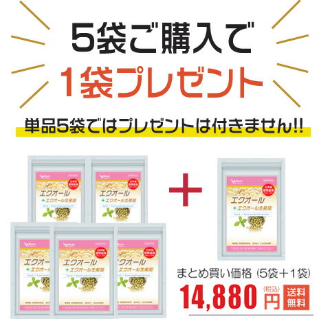 エクオール 5袋＋1袋付 日本産 エクオール産生菌 ラクトビオン酸 大豆イソフラボン 米糠・大豆エキス納豆菌発酵物 プ…