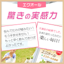 エクオール 生成 大豆イソフラボン ラクトビオン酸 米糠・大豆エキス納豆菌発酵物 プラセンタ チェストベリー 田七人参 更年期 エストロゲン PMS PMDD ストレスケア 2