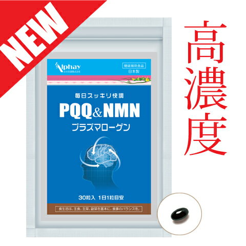 PQQ プラズマローゲン サプリ PQQ750mg プラズマローゲン30,000ug GABA DHA EPA イチョウ葉 知的健康 サプリ