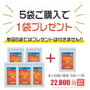 グルカン ベータグルカン 5袋＋1袋付 日本製 無添加 βグルカン Beta-Glucans アガリクス チャーガ 霊芝 冬虫夏草 ハナビラタケ マイタケ LPS 乳酸菌 1