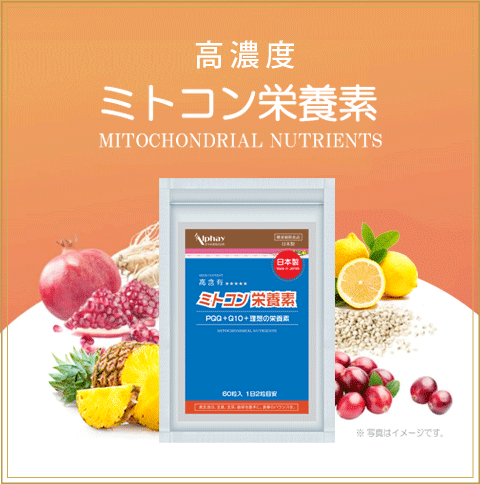【初回限定半額キャンペーン】妊活