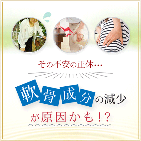 2型コラーゲン 5袋＋1袋付 国産 送料無料 関節 軟骨 サプリ プロテオグリカン グル...