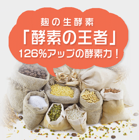 【送料無料】麹酵 雑穀麹の生酵素 50倍濃縮 2袋セット(10%OFF) 生酵素 コンブチャ 麹酵素 酵素 ダイエット こうじ酵素 酪酸菌 サラシア イヌリン 2ヶ月分