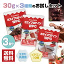 【千円オフクーポン 5/8迄】 ホエイプロテイン ココアミルク イチゴミルク チョコ 30g ×3set | プロテイン ホエイ wpc ダイエット 高 タンパク 筋 トレ おいしい 美味しい 置き換え 男性 女性 コスパ 美容 乳酸菌 溶けやすい 美肌 たんぱく質 満腹感 【公式】 ALPRON