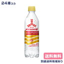 【アサヒ】三ツ矢サイダー W(ダブル) 矢羽根ボトル 485ml x 24本 特定保健用食品【送料無料】【別途送料地域あり】【RCP】