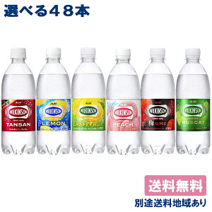 ウィルキンソン 炭酸 レモン グレープフルーツ ウメ ピーチ マスカット 500ml PET 選べる2ケースセット（48本入）【送料無料】【別途送料地域あり】