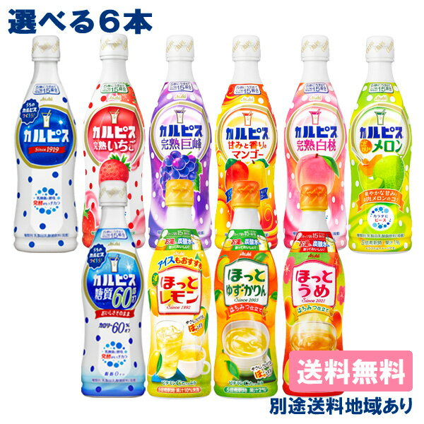 【アサヒ】 希釈用 コンク プラスチックボトル470 PET 選べる6本セット 470ml x 6本 （1本 x 6種類）【送料無料】【別途送料地域あり】 乳酸菌 ビタミンC