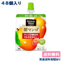 ミニッツメイド 朝ゼリー 朝マンゴ マンゴー ゼリー飲料 パウチ 180g x 24個 x 2ケース （48個） 