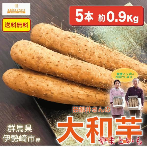 大和芋 ヤマトイモ 5本 ( およそ0.9Kg ) 群馬県伊勢崎市産 【送料無料】【別途送料地域あり】