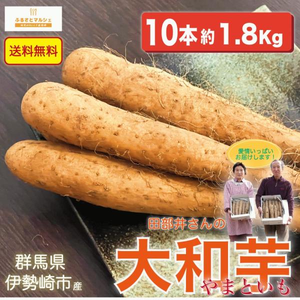 大和芋 ヤマトイモ 10本 ( およそ1.8Kg ) 群馬県伊勢崎市産 【送料無料】【別途送料地域あり】