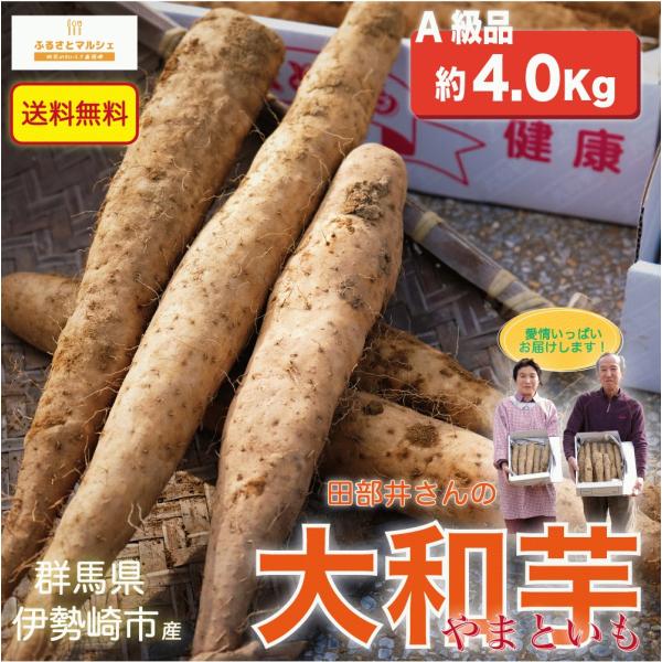 大和芋 ヤマトイモ ( およそ4.0Kg ) 群馬県伊勢崎市産 贈答用 A級品 【送料無料】【別途送料地域あり】