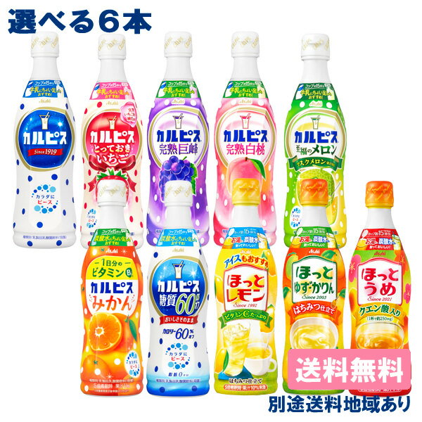 【アサヒ】 希釈用 コンク プラスチックボトル470 PET 選べる6本セット 470ml x 6本 （1本 x 6種類）【送料無料】【別途送料地域あり】 乳酸菌 ビタミンC