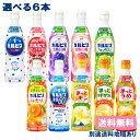  希釈用 コンク プラスチックボトル470 PET 選べる6本セット 470ml x 6本 （1本 x 6種類） 乳酸菌 ビタミンC