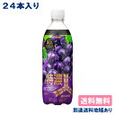 三ツ矢 特濃グレープスカッシュ PET 500ml x 24本  ぶどう 炭酸飲料