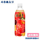 【アサヒ】三ツ矢 特濃アップルスカッシュ PET 500ml x 48本 ( 24本入 x 2ケース ) 【送料無料】【別途送料地域あり】 炭酸飲料 サイダー りんご