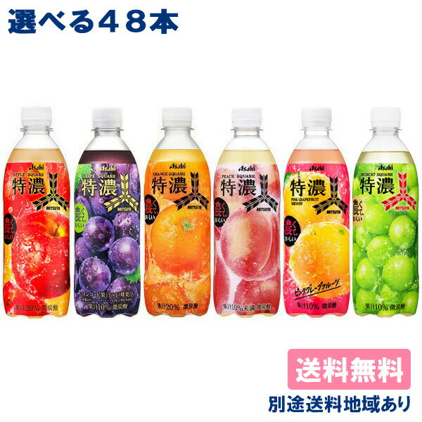 【アサヒ】三ツ矢 特濃フルーツスカッシュ PET 500ml 選べる2ケースセット 48本（ 24本入 x 2ケース ）【送料無料】【別途送料地域あり】［アップル / グレープ/ オレンジ / ピーチ / グレープフルーツ / マスカット］炭酸飲料 ソーダ りんご ぶどう もも 果汁のサムネイル