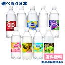 ウィルキンソン 炭酸 タンサン 500ml PET 選べる 2ケースセット(48本入)【ウィルキンソン】【炭酸水 炭酸】【送料無料】【別途送料地域あり】