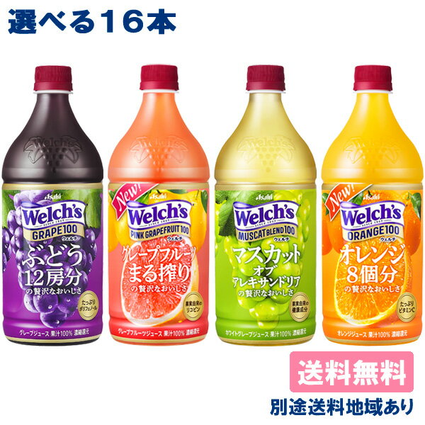 【カルピス】Welchs(ウェルチ)100シリー...の商品画像