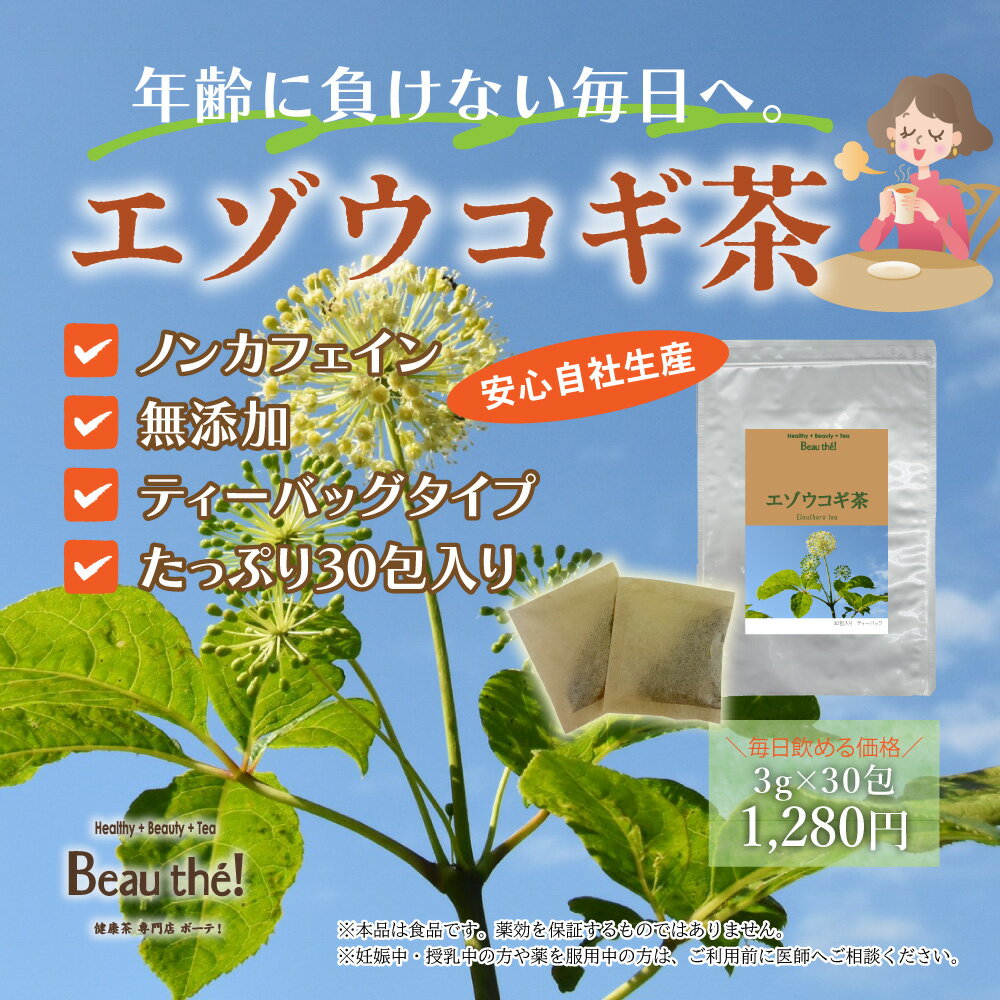 Rakuten - エゾウコギ茶　1袋　3g×30包　ティーバッグ　ノンカフェイン 蝦夷五加木　【DM便送料無料】