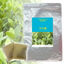 1袋 3袋セット 南米で古くから親しまれてきたマテ茶。ミネラル、鉄分、カルシウム、ビタミンA、ビタミンBを多く含んでいて、通称「飲むサラダ」とも呼ばれるマテ茶。焙煎することで飲みやすくなります。 原材料ゼルバマテの葉 原料原産地ブラジル 内容量90g(3g×30包) 形態ティーバッグ（ティーパック） 送料送料無料・DM便対応(ポストに投函されます) 保存方法高温多湿を避けて冷暗所保管 賞味期限別途商品ラベルに記載 ◆ボーテ！が取り組む安心・安全、そして変わらぬ味 当店のお茶はJFS-B規格適合証明取得の自社工場で、厳格な衛生管理のもとで生産しております。安心安全な製品をお届け致します。 また「農薬検査」で残留農薬を確認し、「水分活性値測定」で原料の適切な保管を確認し、「官能試験」を通じて変わらぬ味、香り、品質の維持に努めています。 [関連キーワード] イェルバ・マテの葉 ロースト マテ茶 飲むサラダ ビタミン ミネラル 遠赤外線 縁石焙煎 国内焙煎 鉄分 カルシウム ミネラル ビタミンA ビタミンB 葉緑素