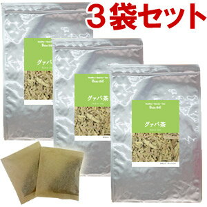 グァバ葉茶 3袋セット（3g×30包）グ