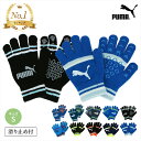 手袋 キッズ プーマ サッカー 男の子 5本指 滑り止め おしゃれ すべり止め 雪遊び スポーツ 野球 通学 ニット キッズ手袋 Sサイズ 小学校 5 ~ 12...