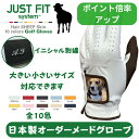 【オーダーメイド】ゴルフグローブ Just Fit System オーダーメイド グローブで スコアアップ! ジャストフィット・システム ゴルフ ギフト プレゼント 景品 本革 羊革 手袋 メンズ レディーズ キッズ 父 還暦 高級 贈り物