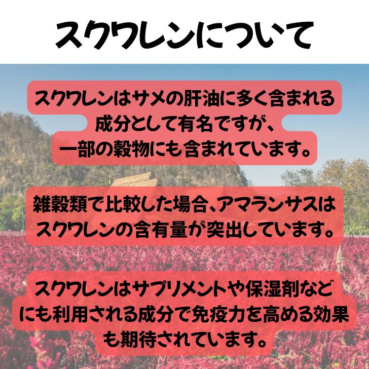 ���ޥ�󥵥� 600gx 3�ĥ��åȡ�����̵����������������ޥȱ�͢�Ǥ��Ϥ�