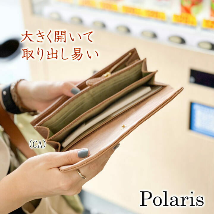 Polaris ポラリス【ALTHORPオリジ...の紹介画像2
