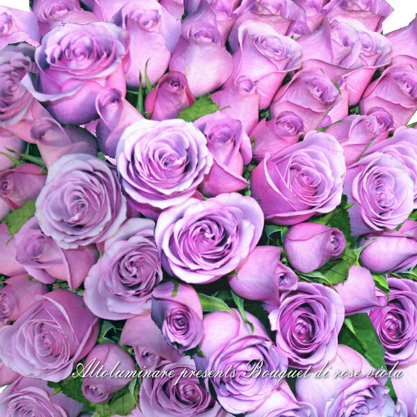 紫の花束 【アメジスト】パープルのバラ100本のブーケ（紫のバラの花束）【楽ギフ_包装】【楽ギフ_メッセ入力】【楽ギフ_名入れ】【お誕生日祝い 入学祝い 出産内祝い 快気祝い 出産祝い 送料込】【YDKG】【SMTB】