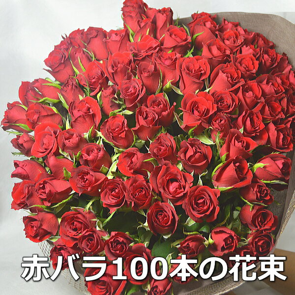 サプライズフラワー 送料無料！赤バラ100本 花束 プロポーズ 108本変更可 フラワーギフト 花ギフト バラ 赤薔薇 赤バラ 薔薇の花束 レッド 花束 お誕生日 プレゼント 贈り物 記念日 結婚記念日 サプライズ お祝い 御祝い おしゃれ　成人式