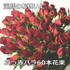 送料無料！薔薇 赤バラ花束 60本 還暦【あす楽対応】【あす楽_土曜営業】【楽ギフ_包装】【楽ギフ_メッセ入力】【バラの花束 薔薇の花束 記念日 お誕生日祝い 入学祝い 快気祝い 出産祝い 送料込】【土曜営業】即日発送 即納