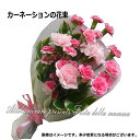 カーネーション 【送料無料】数量限定♪母の日にとってもかわいいピンクのカーネーションの花束【あす楽対応】【あす楽_土曜営業】【楽ギフ_包装】【楽ギフ_メッセ入力】【楽ギフ_名入れ】【お誕生日祝い 入学祝い 出産内祝い 快気祝い 出産祝い 送料込】