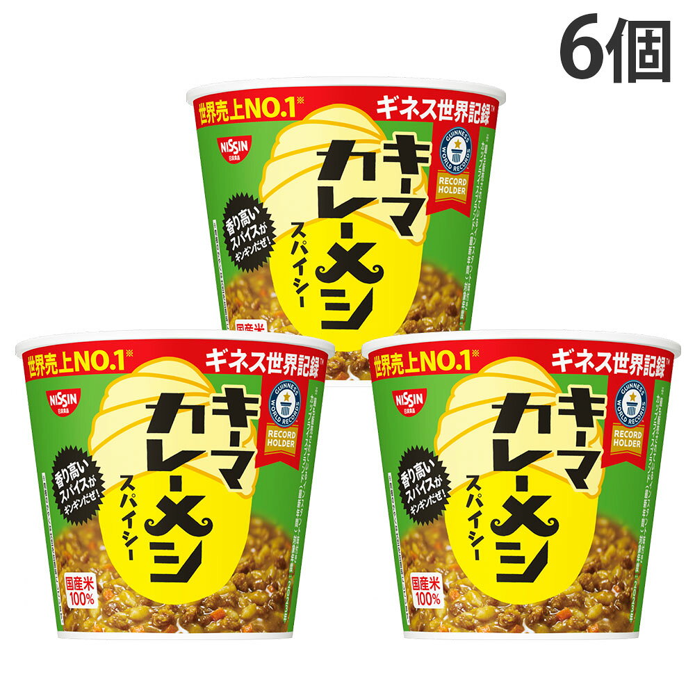 『賞味期限：26.11.26』日清キーマカレーメシ スパイシー 89g 6個 日清食品