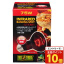 【エントリーでポイント10倍】ジェックス ヒートグロー 赤外線照射スポットランプ 75W 爬虫類 トカゲ リクガメ 亀 赤外線 集光型 昼夜兼用『送料無料(一部地域除く)』