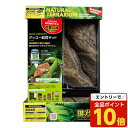 【エントリーでポイント10倍】ジェックス ゲッコー飼育キット GT3045 爬虫類 クレステッドゲッコー 樹上棲 飼育キット 飼育『送料無料(一部地域除く)』