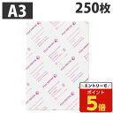 【SS限定エントリーでポイント5倍】コピー用紙 A3 JDコート104 両面コート紙 250枚 富士フイルム