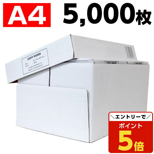 【SS限定エントリーでポイント5倍】コピー用紙　A4　5000枚　高白色（500枚×10冊） 印刷用紙 白紙 用紙 A4サイズ PPC用紙 OA用紙『送料無料（一部地域除く）』のサムネイル