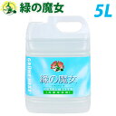 センイや手肌をいためず、しつこい汚れもカンタンに落とします。少量でよく落ち、液体だから溶け残りがなく、洗濯ムラもありません。全自動洗濯機にも最適！蛍光増白剤や漂白剤は無配合なので、きなりや淡い柄物にも安心。排水口のニオイの素も生分解。洗濯機まわりはスッキリ、清潔。バイオの働きで排水パイプもきれいに。環境浄化に積極的に貢献します。ご使用後はパイプクリーナーとして働きます。■商品詳細メーカー名：ミマスクリーンケア株式会社シリーズ名：緑の魔女容量：5L購入単位：1個配送種別：在庫品【緑の魔女のヒミツ】◎『緑の魔女』が未来に働きかけること便利で快適な暮らしを追い求める生活は、一方で環境汚染につながり、私たち人間の生活と地球の未来が両立できないのではないかという声がありますが、「緑の魔女」はこの問題をクリアしました。人間の生活と地球の未来を両立させたいと願って開発した製品です。◎クリーナーとしての働き当洗剤の配合成分は環境を汚さないものを使用し、材質を痛めずに、ガンコな汚れもスッキリ落とします。手肌に優しくクリーンでマイルド！！安心・安全なクリーナーです。◎使用後の排水の働き使用後、薄められた洗剤液の中の成分、グロースファクターは排水パイプの中に棲む汚れを食べる微生物に栄養を与え、その活動力＝生分解力を高めます。このことにより、排水パイプの汚れは次第に分解されてきれいになり、また水まわりのいやな臭いも消え去ります。浄化槽も浄化力が高まります。【検索用キーワード】雑貨 日用品 洗濯用品 衣類ケア 洗剤 液体洗剤 みどりのまじょ らんどりーようえきたいせんざい ぎょうむよう 5L 緑の魔女10倍 緑の魔女 SK0885 センイ 手肌 しつこい 汚れ カンタン 簡単 少量 液体 えきたい 溶け残り 洗濯ムラ 全自動洗濯機 蛍光増白剤 漂白剤 無配合 安心 排水口 ニオイの素 洗濯機 スッキリ 清潔 バイオ 環境浄化 パイプクリーナー 洗剤 せんざい みどりのまじょ 業務用・洗剤 ミマスクリーンケア