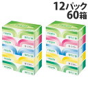 ネピア プレミアムソフトティッシュ 180組 5箱×12パック『送料無料(一部地域除く)』
