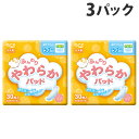 第一衛材 フリーネ ふんわりやわらかパッド 中量用 50cc 30枚×3パック
